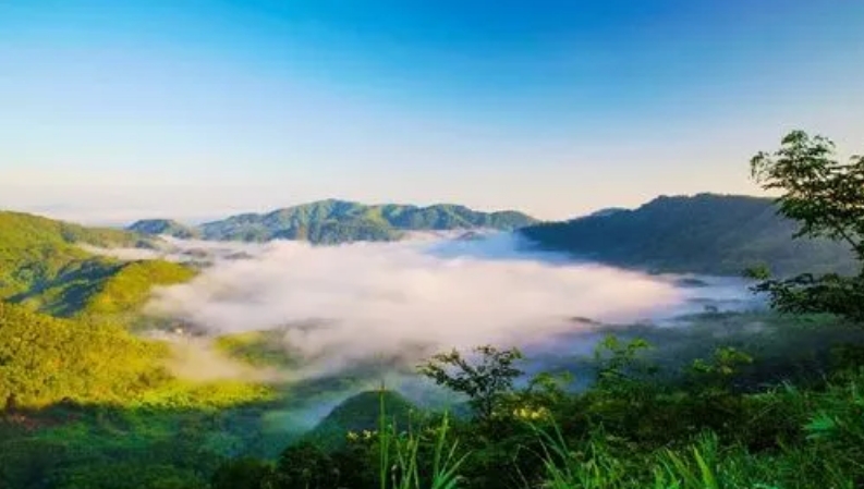 海南云外国际实业有限公司委托我司开发海外平台