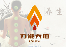 海南力能实业